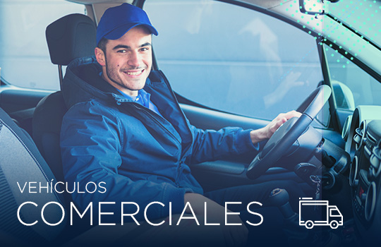 Famly - Vehiculos comerciales