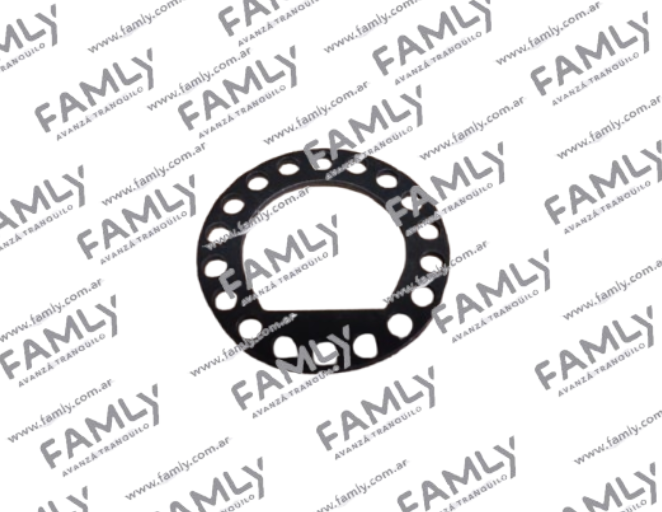 Repuestos Famly - X3 SC BOX            - ARANDELA DE SEGURIDAD DE EJE TRASERO 1.5/1.6