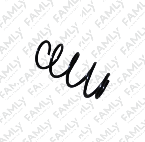 Repuestos Famly - JTRX70ATLX           - ESPIRAL DE AMRTIGUADOR DEL