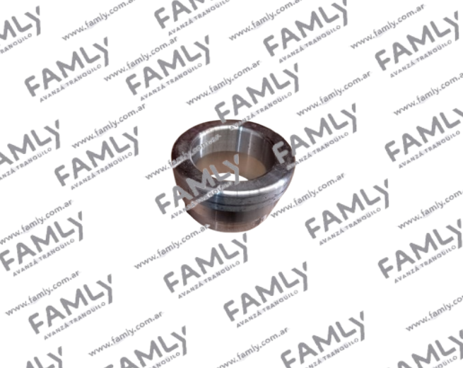 Repuestos Famly - X3 SC REF            - ANILLO DE RETENCION SEMIEJE (1.5/1.6)
