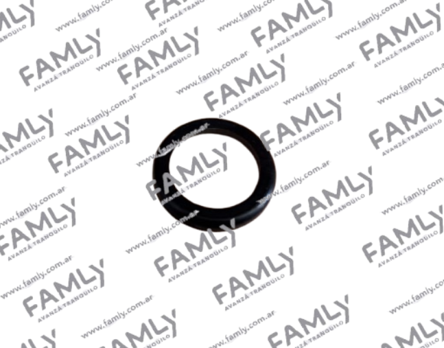 Repuestos Famly - X3 SC REF            - ARANDELA DE SOPORTE DE EJE TRASERO (1.5/1.6)