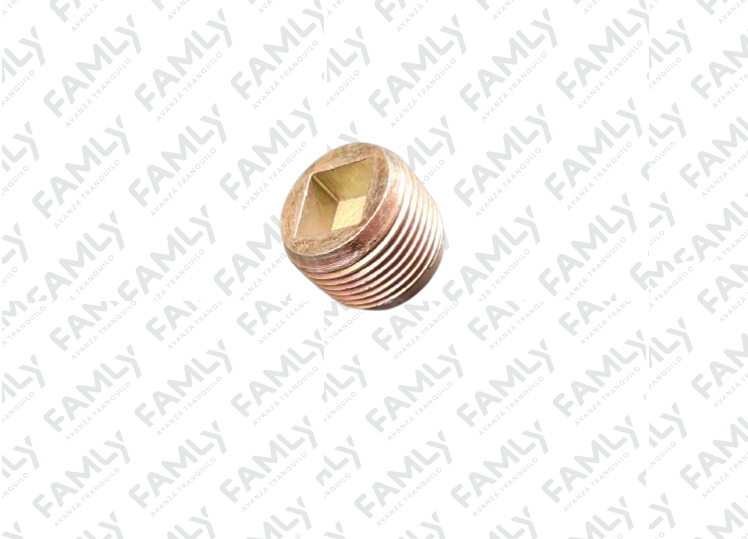 Repuestos Famly - X3 SC REF            - TAPON DE DRENAJE DE DIFERENCIAL