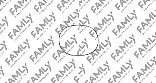 Repuestos Famly - X3 SC REF            - RESORTE DE RTH (5º) ANILLO DE ENGRANAJE DK15 (1.5)