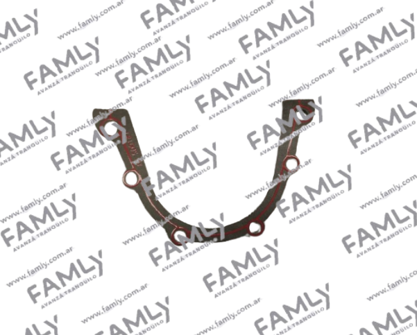 Repuestos Famly - X3 DC                - JUNTA DE TAPA DE CIGUEÑAL (1.5)