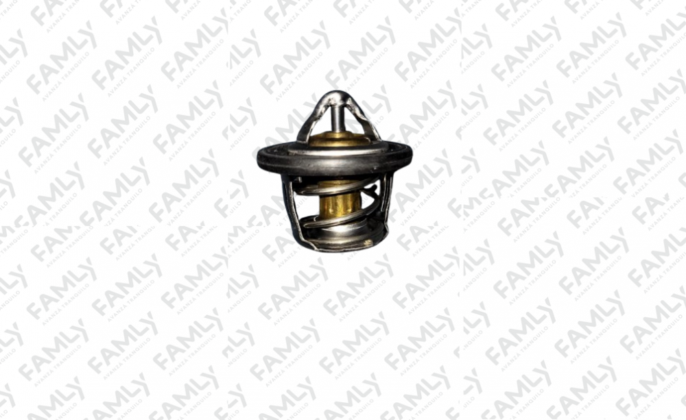Repuestos Famly - X3 SC BOX            - TERMOSTATO (IND. ARG)