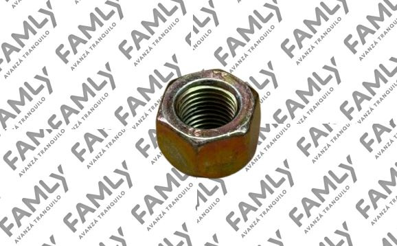 Repuestos Famly - X3 SC BOX            - TUERCA CAMPANA DE FRENOS DC DK15 (1.5)