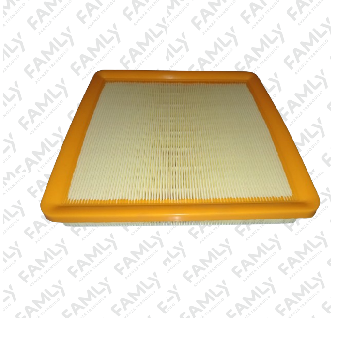 Repuestos Famly - X3 DC                - FILTRO AIRE MOTOR (IND. ARG.)