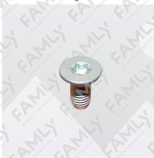 Repuestos Famly - JTRX70ATLX           - TORNILLO DE PUERTA