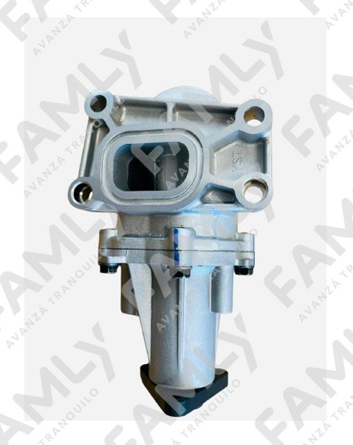 Repuestos Famly - X3 SC BOX            - BOMBA DE AGUA (IND. ARG)