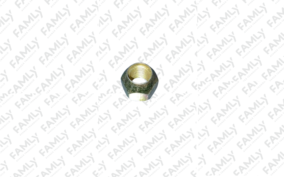Repuestos Famly - X3 SC BOX            - TUERCA CAMPANA DE FRENOS