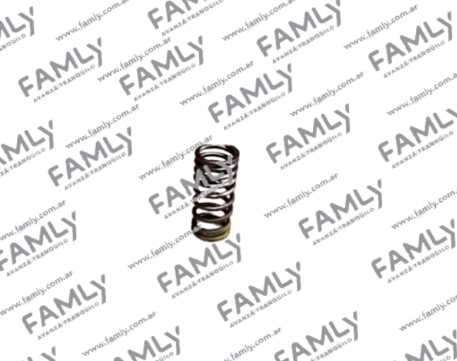 Repuestos Famly - X3 DC                - RESORTE DE VALVULA (1.5)