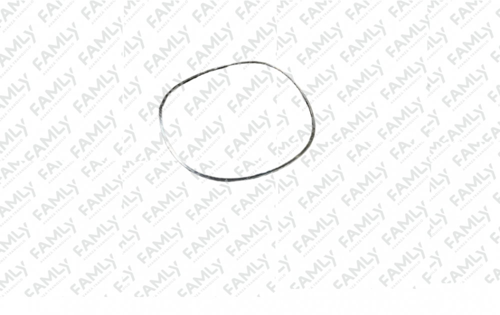 Repuestos Famly - X3 DC                - RESORTE DE RTH (5º) ANILLO DE ENGRANAJE 1.5