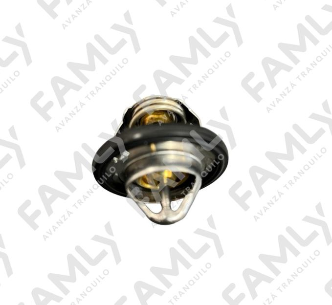 Repuestos Famly - X3 SC BOX            - TERMOSTATO