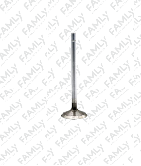 Repuestos Famly - 6440                 - RETEN VALVULA DE ADMISION (IND. ARG)