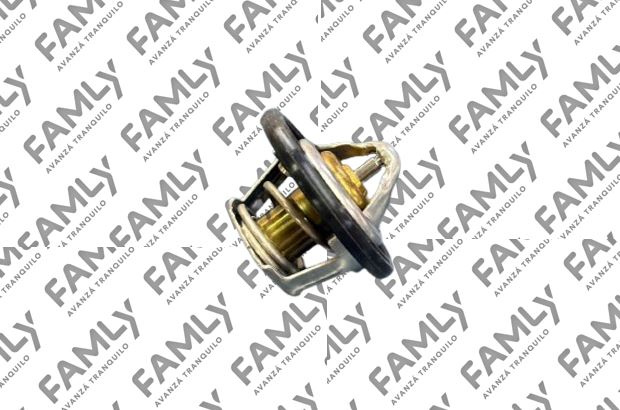 Repuestos Famly - X3 SC REF            - TERMOSTATO DAM16 (1.6)