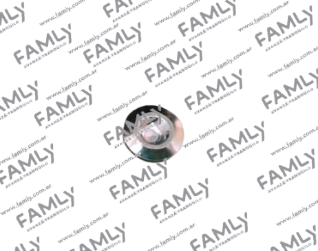 Repuestos Famly - X3 DC                - BULON DE LLENADO DEL ACEITE (1.5)