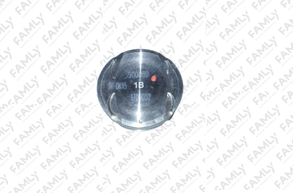 Repuestos Famly - X3 SC BOX            - PISTON (IND. ARG.)