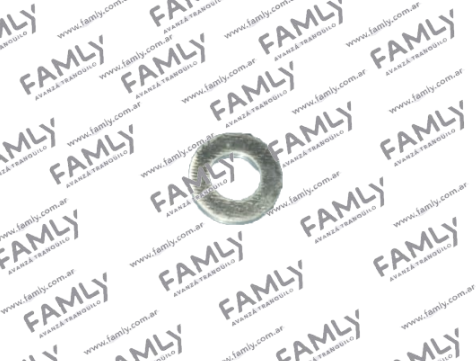 Repuestos Famly - X3 SC REF            - ARANDELA (1.6)